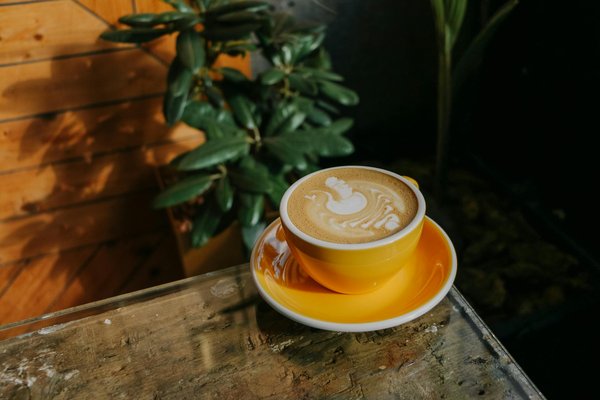 Transformez Votre Dos : Les Meilleurs Exercices à Faire Chez Soi pour Muscler et Renforcer votre Dos !